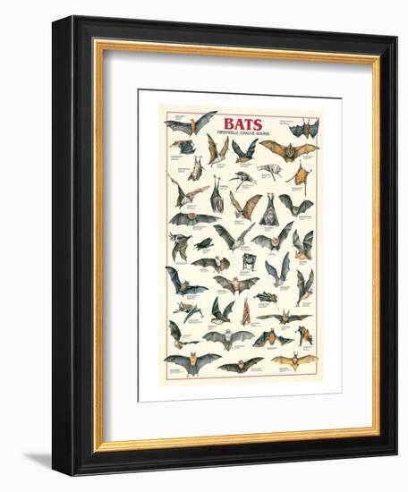 Bats-null-Framed Art Print