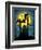 Bats-Harry Briggs-Framed Giclee Print