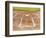 Batter's box-Erik Isakson-Framed Photographic Print