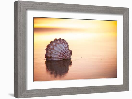 Battered But Beautiful-Chris Moyer-Framed Photographic Print