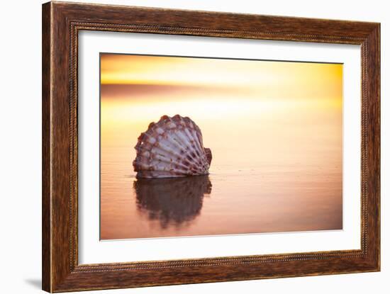 Battered But Beautiful-Chris Moyer-Framed Photographic Print