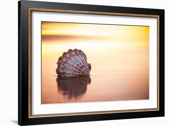 Battered But Beautiful-Chris Moyer-Framed Photographic Print