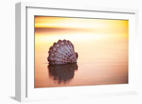 Battered But Beautiful-Chris Moyer-Framed Photographic Print