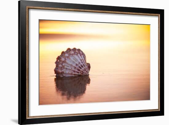 Battered But Beautiful-Chris Moyer-Framed Photographic Print