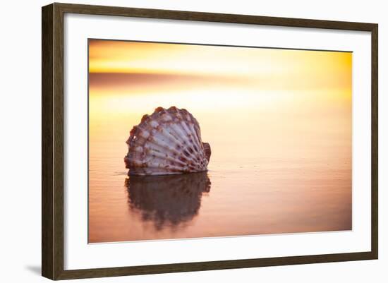 Battered But Beautiful-Chris Moyer-Framed Photographic Print