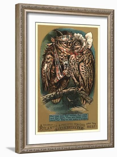 Battered Owl Couple-null-Framed Art Print