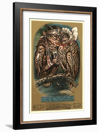Battered Owl Couple-null-Framed Art Print