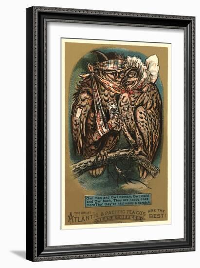 Battered Owl Couple-null-Framed Art Print