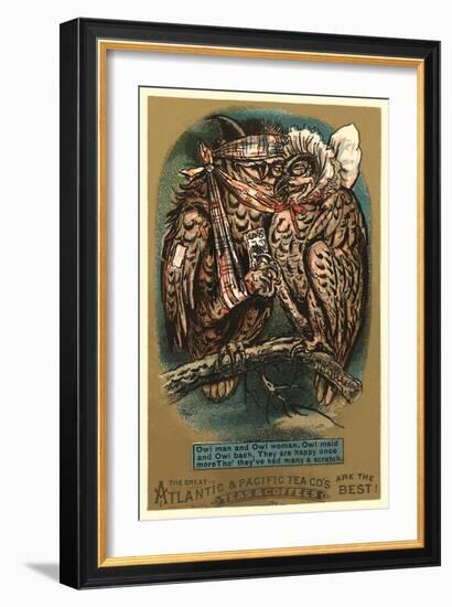 Battered Owl Couple-null-Framed Art Print