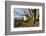 Battery Point Lighthouse, Crescent City, California, United States of America, North America-Miles-Framed Photographic Print