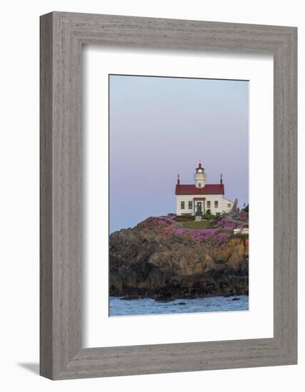 Battery Point Lighthouse in Crescent City, California, USA-Chuck Haney-Framed Photographic Print