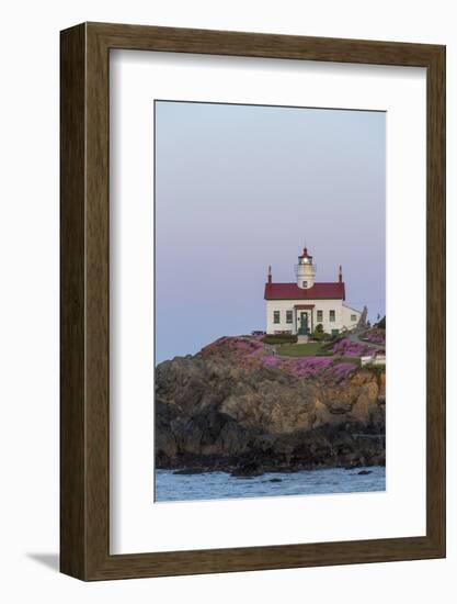 Battery Point Lighthouse in Crescent City, California, USA-Chuck Haney-Framed Photographic Print