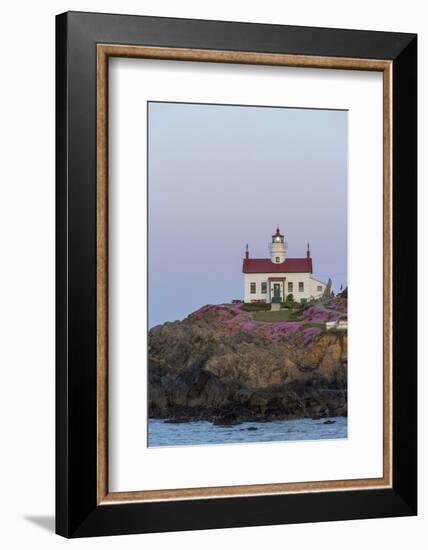 Battery Point Lighthouse in Crescent City, California, USA-Chuck Haney-Framed Photographic Print