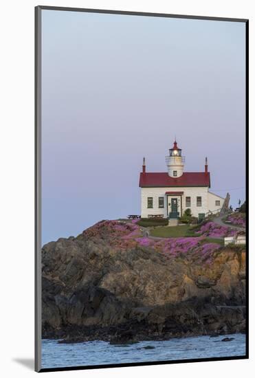 Battery Point Lighthouse in Crescent City, California, USA-Chuck Haney-Mounted Photographic Print