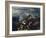 Battle Between Alexander and Porus, 326 BC-Nicolaes Berchem-Framed Giclee Print