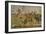 Battle Between Alexander the Great and King Dareios (Battle of Issos)-null-Framed Giclee Print