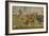 Battle Between Alexander the Great and King Dareios (Battle of Issos)-null-Framed Giclee Print