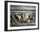 Battle Between Greeks and Persians, Relief, Alexander Sarcophagus-null-Framed Photographic Print