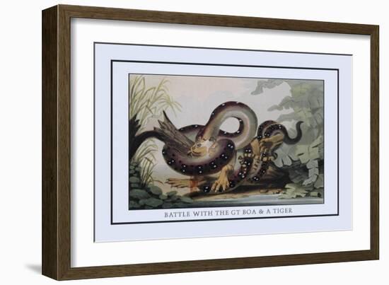 Battle Between the Great Boa and a Tiger-J.h. Clark-Framed Art Print