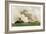 Battle Between the Monitor and the Merrimac, American Civil War, 1862-null-Framed Giclee Print