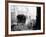 Battle Casualty-Hugh Van Es-Framed Photographic Print