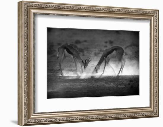 Battle in Black and White-Jaco Marx-Framed Photographic Print