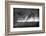 Battle in Black and White-Jaco Marx-Framed Photographic Print