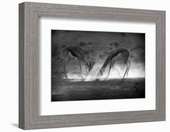 Battle in Black and White-Jaco Marx-Framed Photographic Print