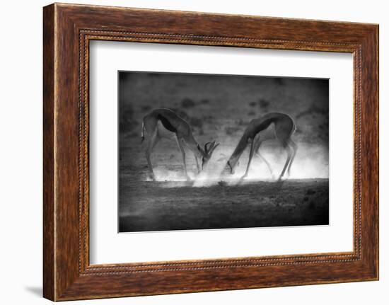 Battle in Black and White-Jaco Marx-Framed Photographic Print