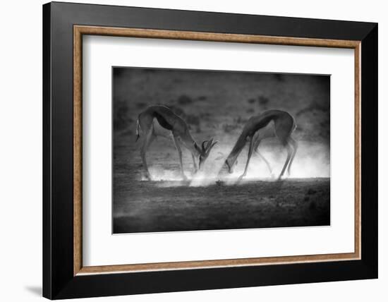 Battle in Black and White-Jaco Marx-Framed Photographic Print