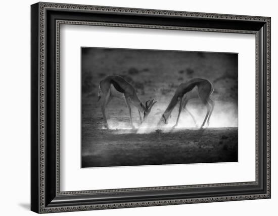 Battle in Black and White-Jaco Marx-Framed Photographic Print