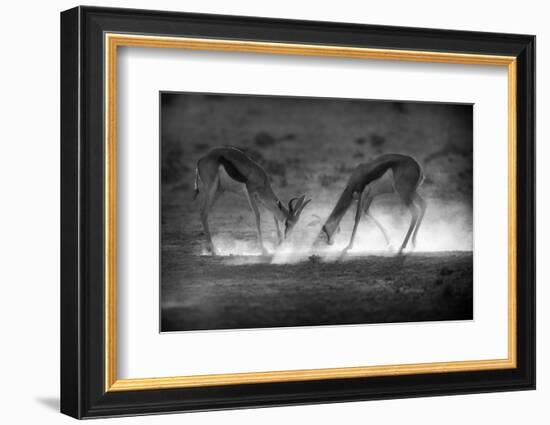 Battle in Black and White-Jaco Marx-Framed Photographic Print