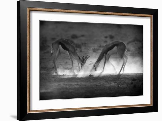 Battle in Black and White-Jaco Marx-Framed Photographic Print