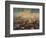 Battle of Arroyo Grande, December 6, 1842-null-Framed Giclee Print