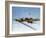 Battle of Britain-null-Framed Photo