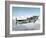 Battle of Britain-null-Framed Photo