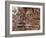 Battle of Guararapes, Brazil, 18 February 1649-null-Framed Giclee Print