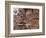 Battle of Guararapes, Brazil, 18 February 1649-null-Framed Giclee Print