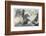 Battle of Lake Erie-W.j. Aylward-Framed Photographic Print