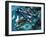 Battle of Midway-Wilf Hardy-Framed Giclee Print