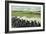 Battle of New Orleans on 8th January 1815-Ron Embleton-Framed Giclee Print