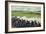 Battle of New Orleans on 8th January 1815-Ron Embleton-Framed Giclee Print