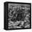 Battle of Rorke's Drift, Natal, Zulu War, 1879-null-Framed Premier Image Canvas