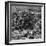 Battle of Rorke's Drift, Natal, Zulu War, 1879-null-Framed Giclee Print