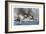 Battle of Santiago De Cuba, 3 July 1898-Willy Stower-Framed Giclee Print