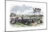 Battle of Shiloh, Tennessee, American Civil War, 6 April 1862-null-Mounted Giclee Print