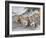 Battle of Shizugatake Pass 1583-Japanese School-Framed Giclee Print