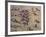 Battle of the Little Big Horn, by White Bird, a Northern Cheyenne, Horseshoes-Walter Rawlings-Framed Photographic Print
