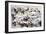 Battle of the Little Big Horn, Montana, USA, 25-26 June 1876-null-Framed Giclee Print