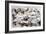 Battle of the Little Big Horn, Montana, USA, 25-26 June 1876-null-Framed Giclee Print